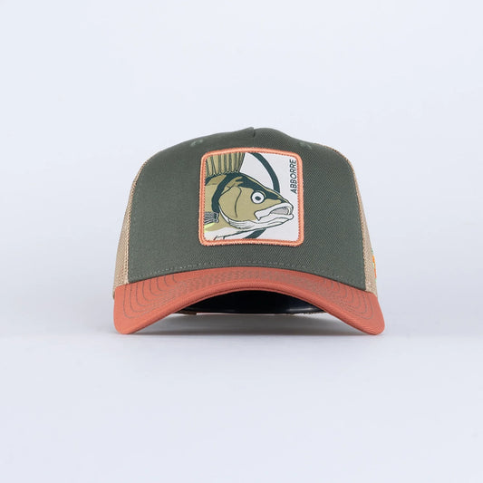 Sqrtn - Aborre Olive
